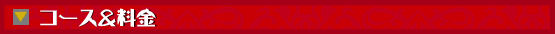 �R�[�X����